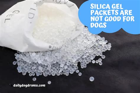 dog ate silica|are silica gel packets toxic.